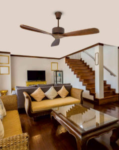 Cheery shape designer fans suppliers in India | World Of Brands