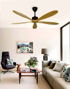 Maple designer fans suppliers for living room India at budget friendly